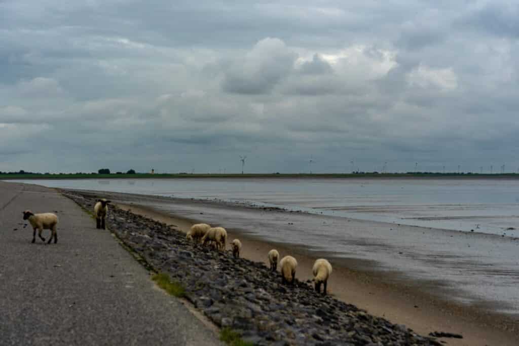 Fahrradtour entlang der Nordseeküste
