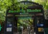 Tal der Schmetterlinge auf Rhodos: Der ultimative Guide (Preise, beste Reisezeit & Insider-Tipps) Tal der Schmetterlinge Rhodos